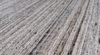 Canvas Gray Silver